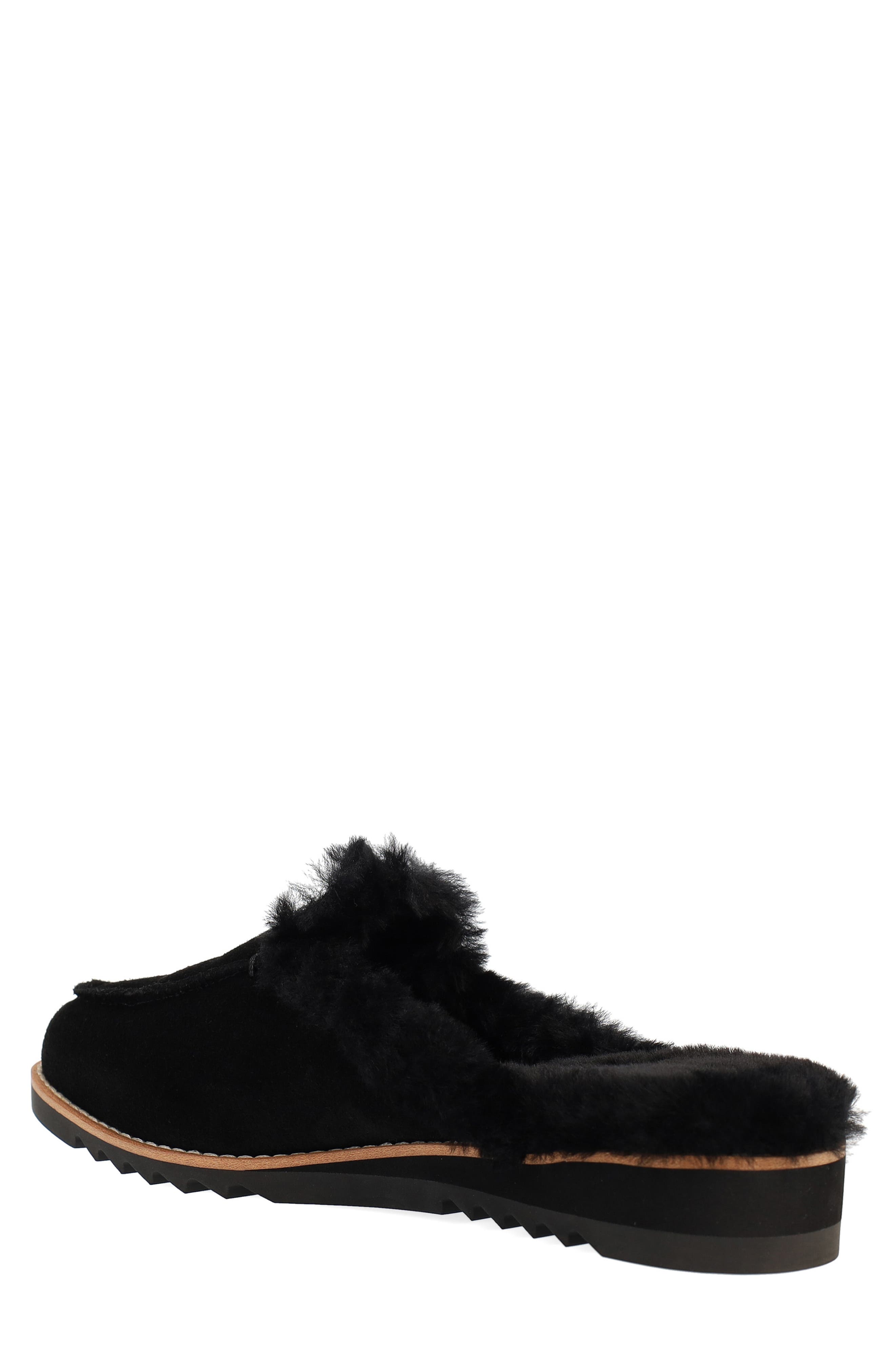 Eileen Fisher Frost Genuine Shearling Lined Clog, Alternate, color, 