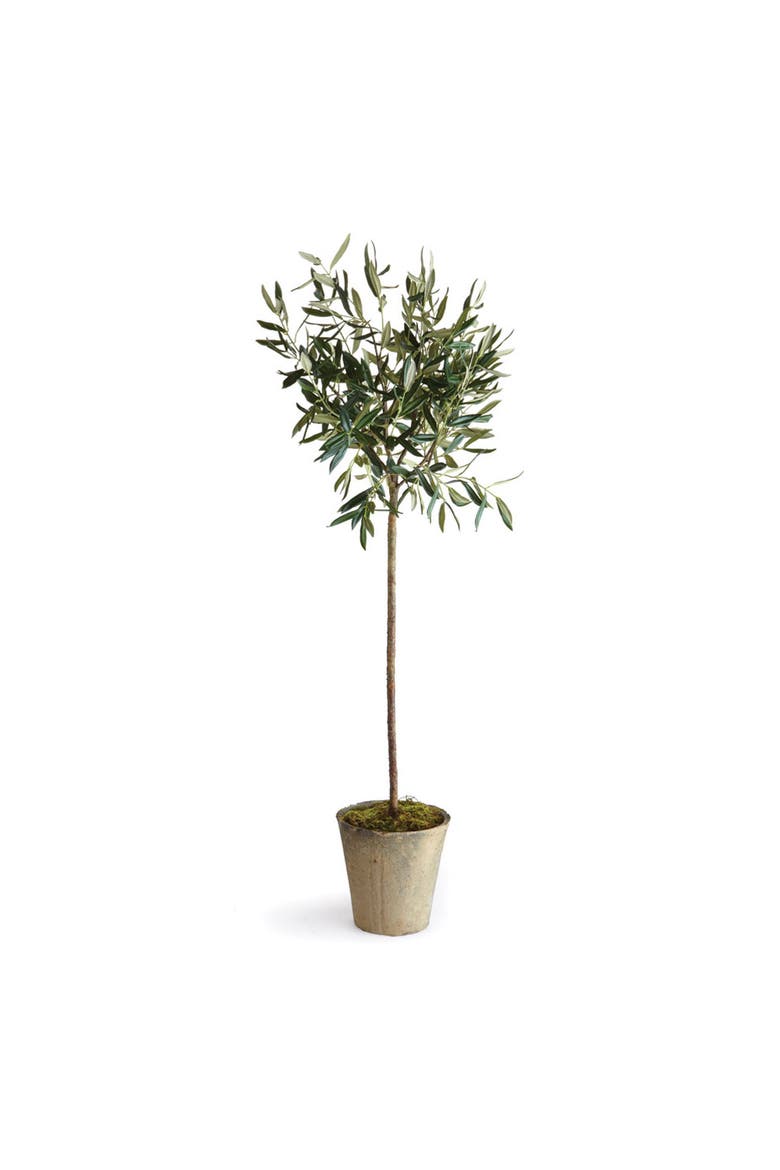 Olive Tree Potted 46", Main, color, Green