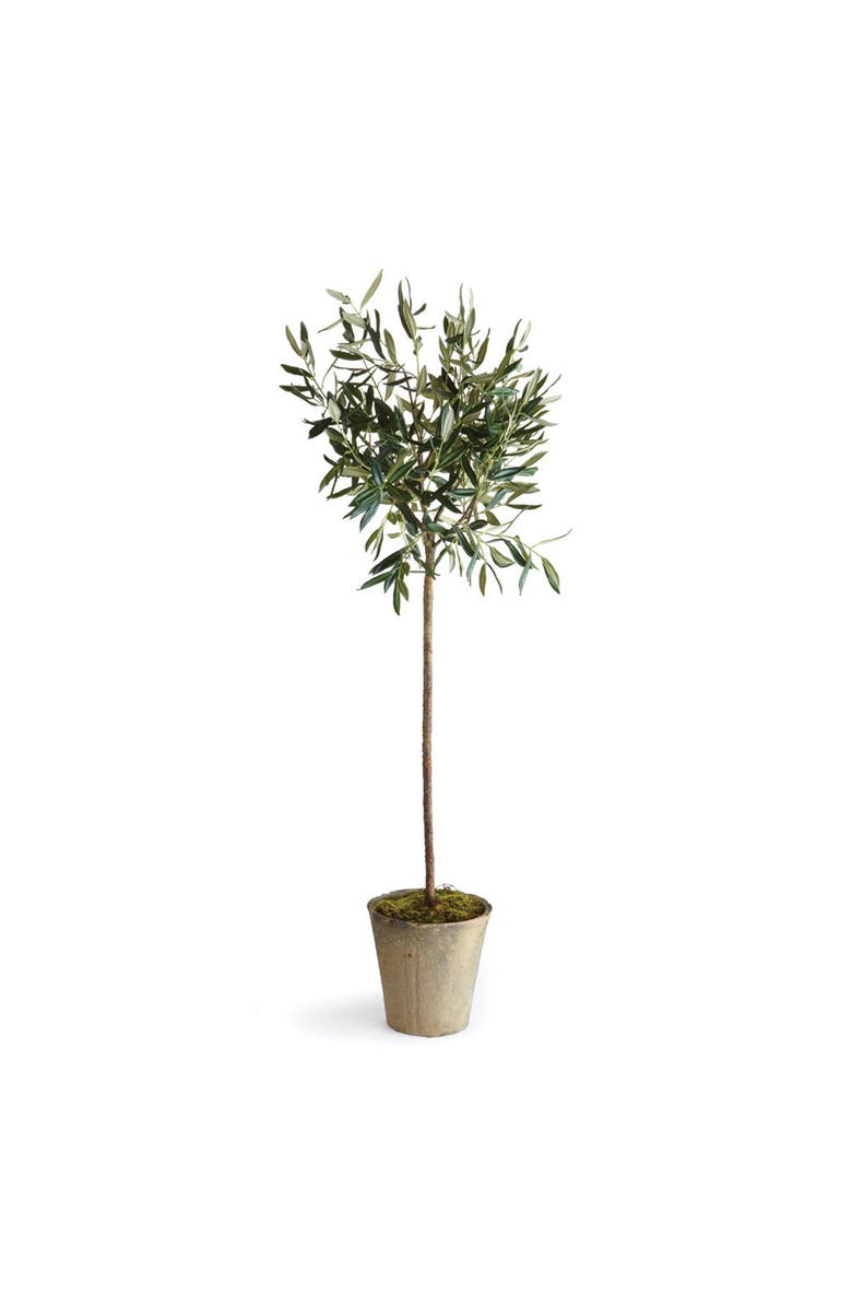 Napa Home & Garden Olive Tree Potted 46", Main, color, Green