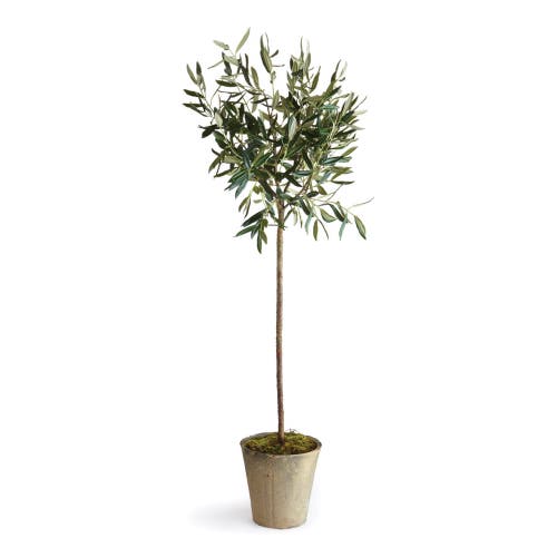 Napa Home & Garden 46in Potted Olive Tree In Multi