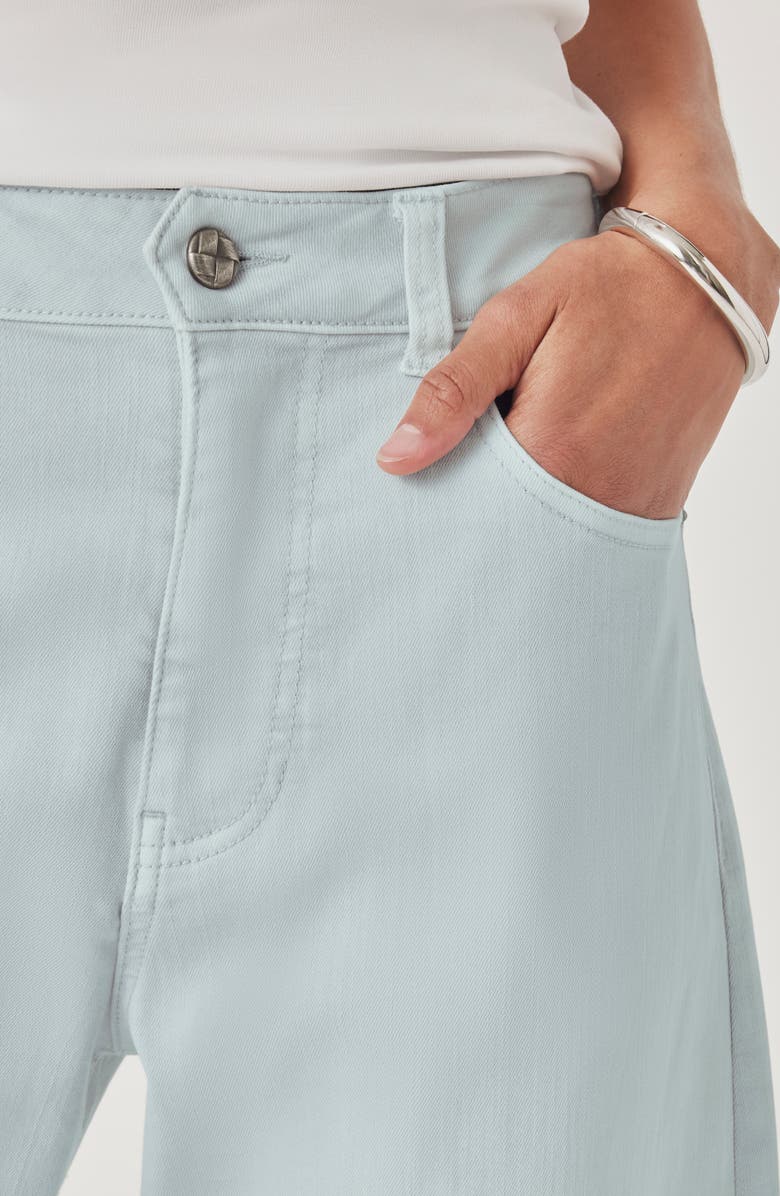 Splendid Ankle Barrel Leg Jeans, Alternate, color, Country Air Blue