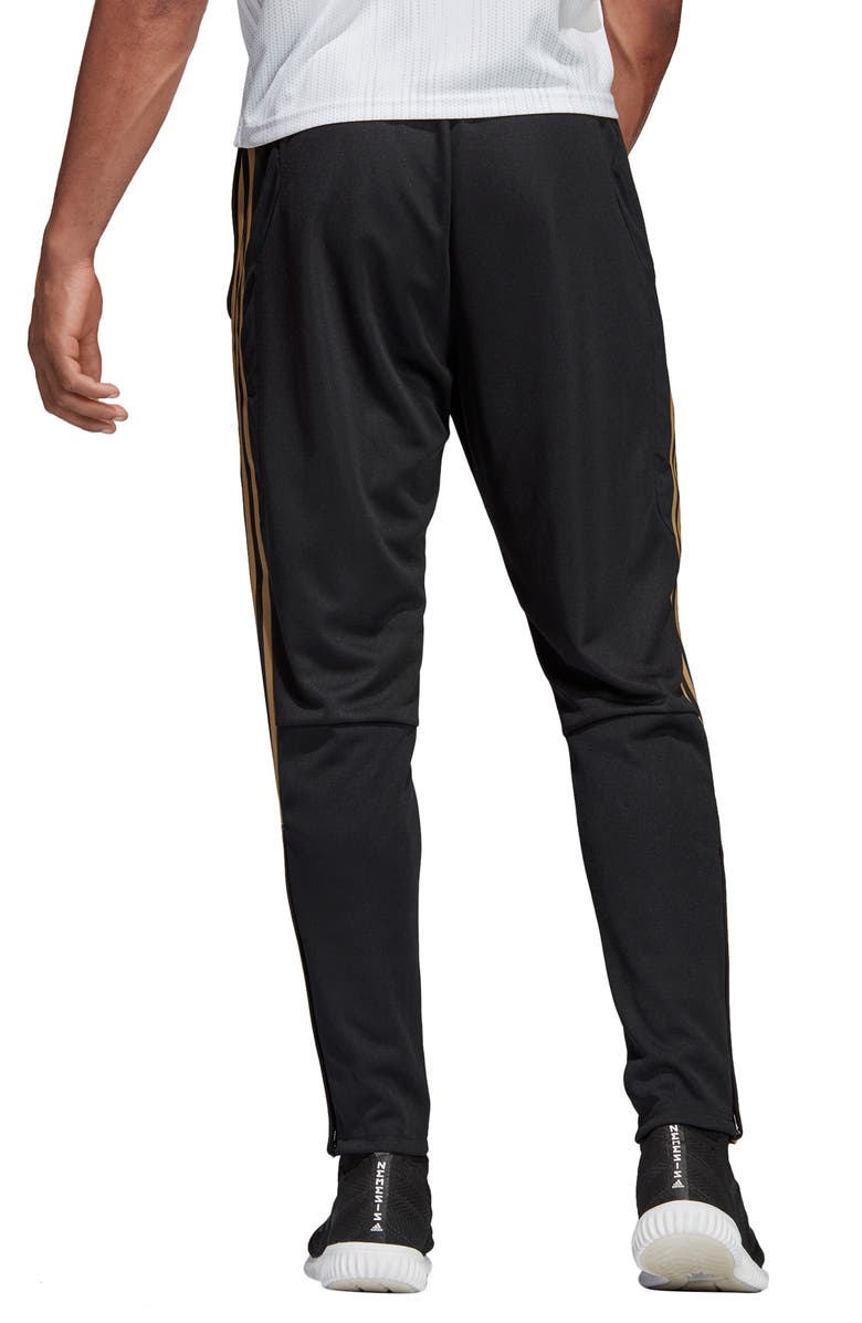 adidas Tiro 19 Training Pants, Alternate, color,