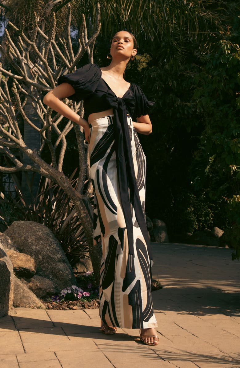 DIARRABLU Zany Solid Tie Front Crop Top, Alternate, color, 