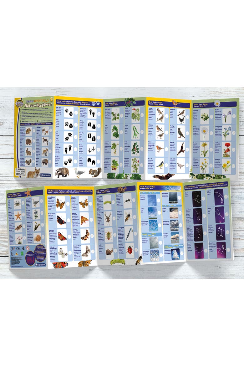 Outdoor Adventure Nature Explorer 5 Doublesided Cards, Alternate, color, Multicolored