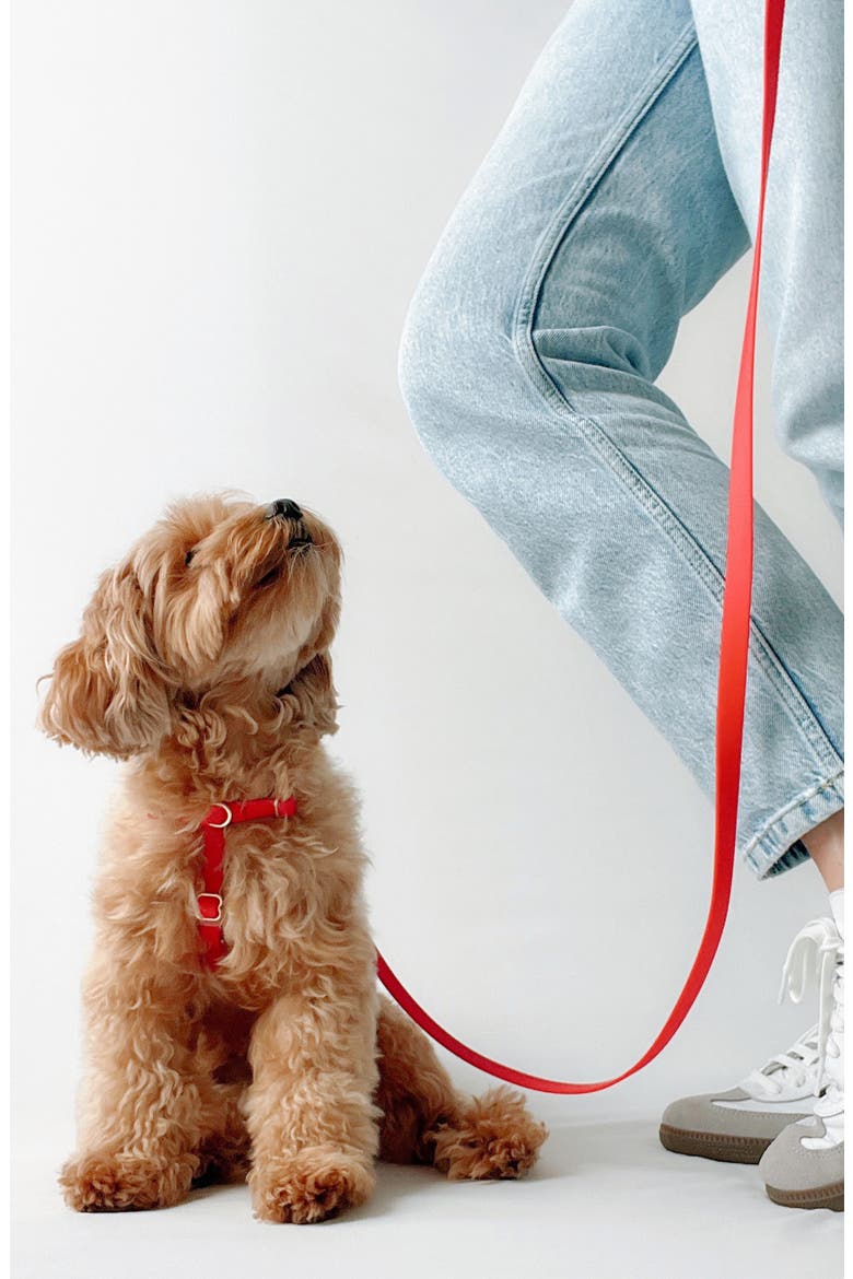 Cloud Lite Waterproof Dog Harness, Alternate, color, CHERRY RED