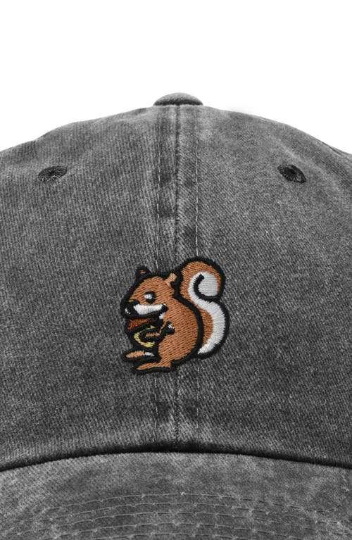 Shop Dalix Squirrel Embroidered Outdoor Cap In Washed Black