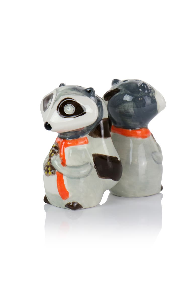 Gibson Home Woodland Raccoon 2 Piece Hard Dolomite Salt and Pepper Set, Alternate, color, Multi