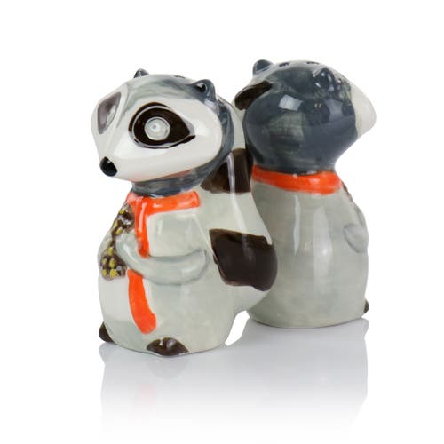 Gibson Home Woodland Raccoon 2 Piece Hard Dolomite Salt And Pepper Set In Multi