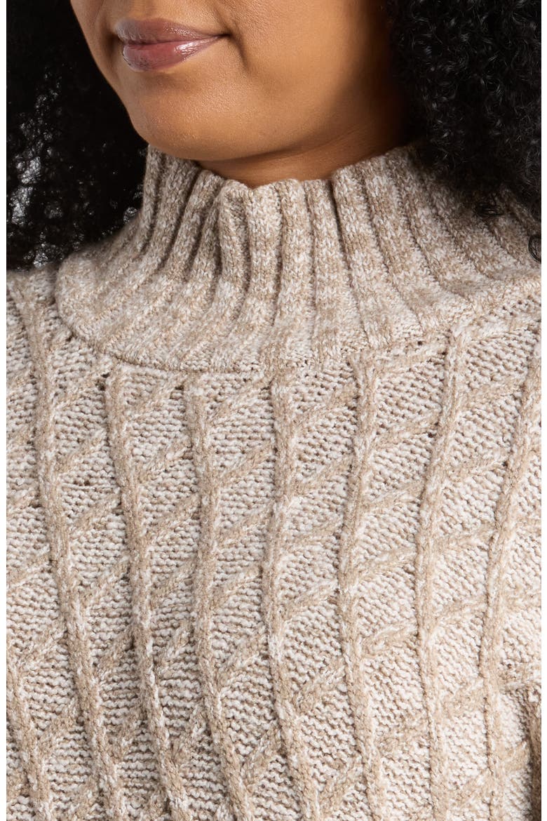Turtleneck Organic Cotton Blend Sweater, Alternate, color, TWINE