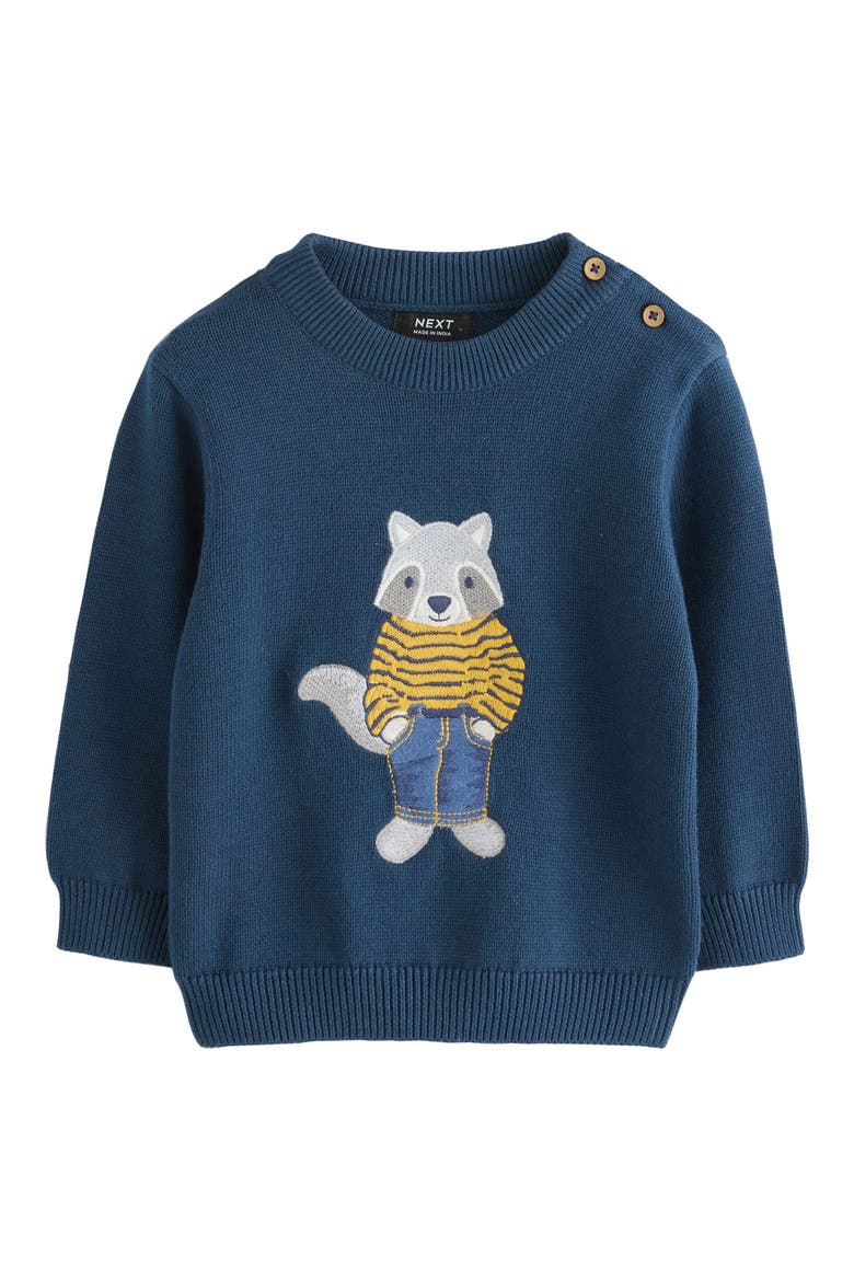 Kids' Raccoon Appliqué Sweater, Main, color, BLUE