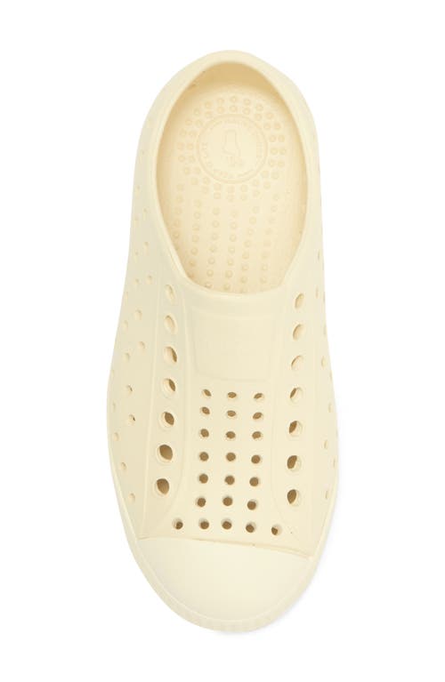 Native Shoes Jefferson Sugarlite Water Resistant Sneaker