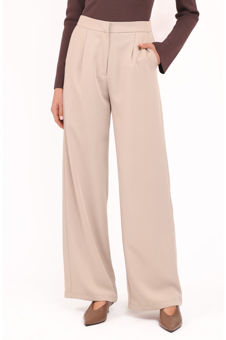 Ana Pleated Wide Leg Pants, Main, color, BEIGE