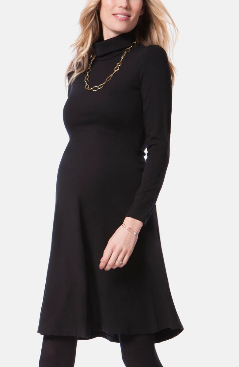 Seraphine Turtleneck Long Sleeve A-Line Maternity Dress, Alternate, color, 