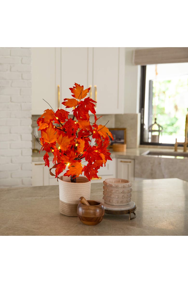 2-ft Pre-Lit Bright Autumn Maple Artificial Fall Tree with 24 Warm White LED Lights and Detachable Base, Alternate, color, Orange