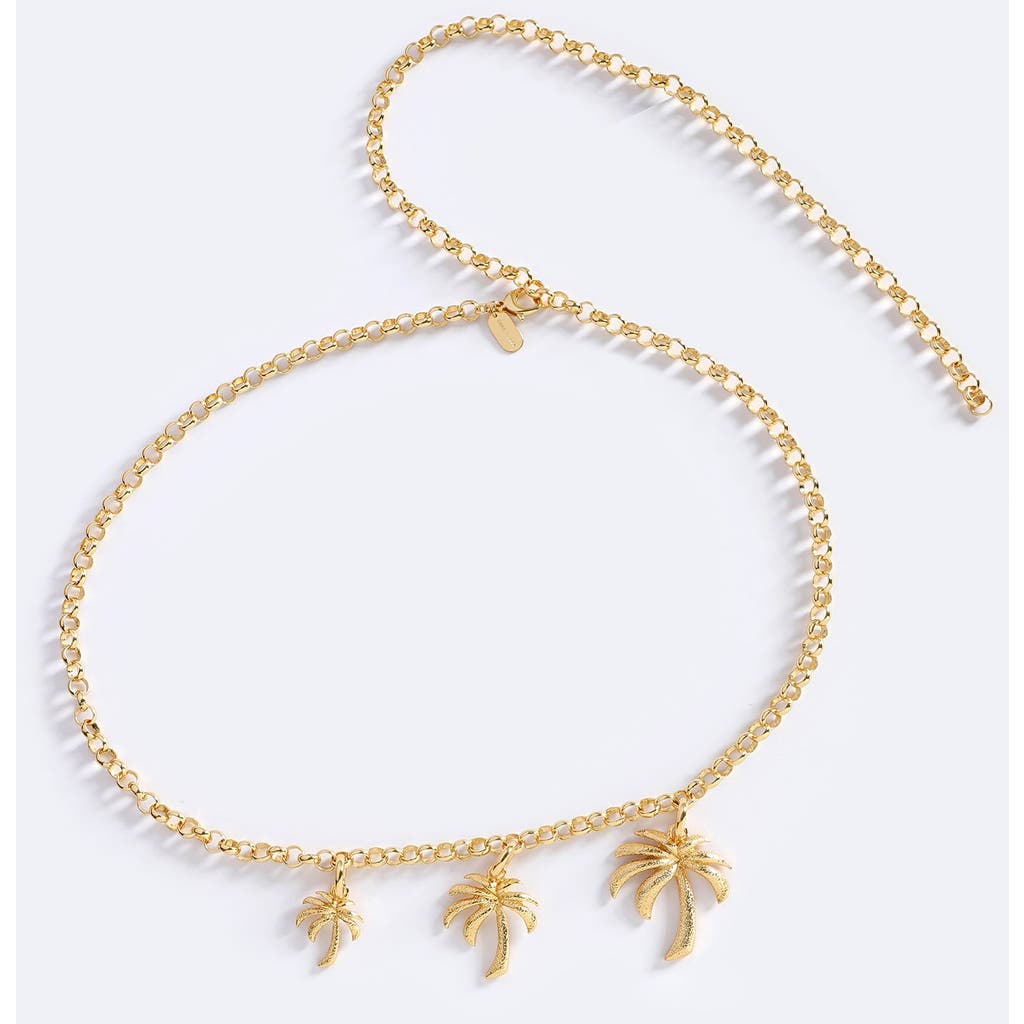 Emma Pills Palm Springs Belt In Gold