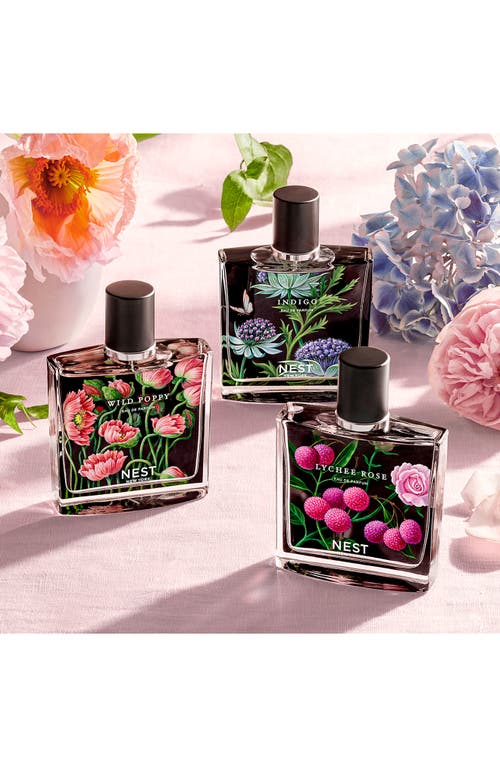 Nest New York Indigo Eau De Parfum In Transparent