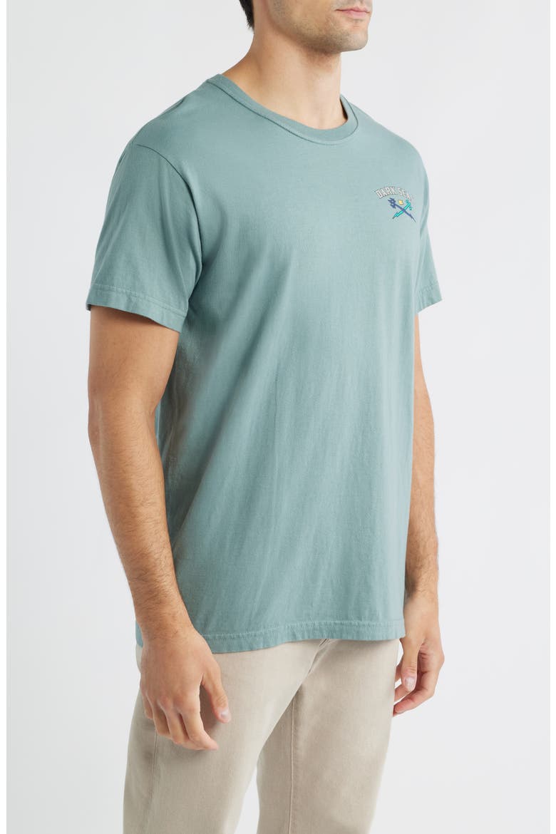 Octo Glass Cotton Graphic T-Shirt, Alternate, color, STORMY SEA