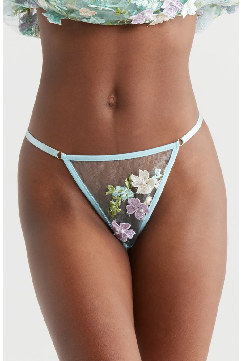 Floral Embroidered G-String, Main, color, POWDER BLUE MULTI