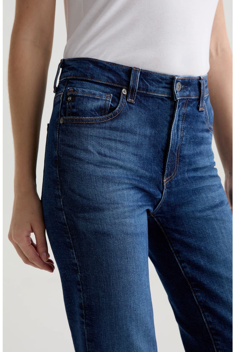 Brinley Classic Straight Leg Jeans, Alternate, color, PLENTIFUL