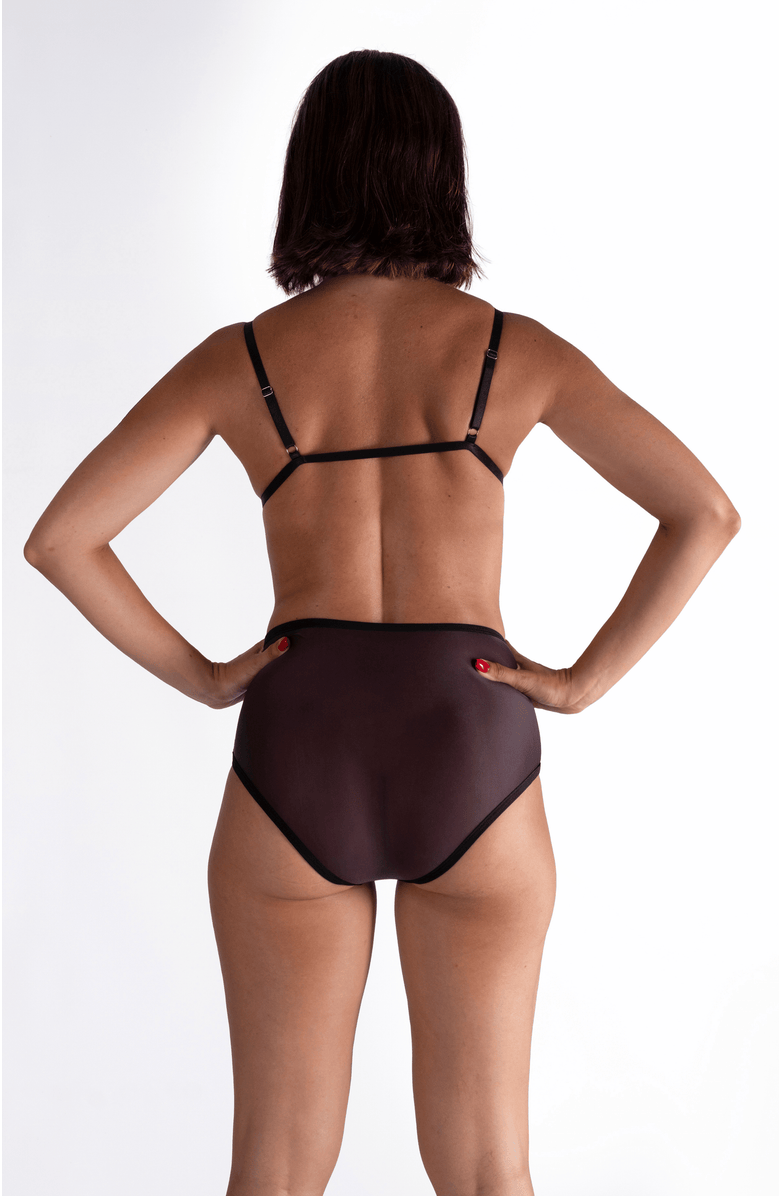 LECHERY<sup>®</sup> Lustrous Sheer High-waisted Brief, Alternate, color, Black