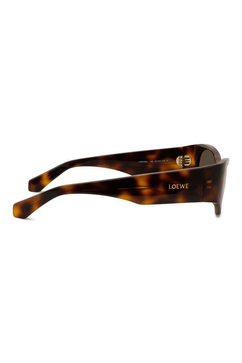 Signature 53mm Cat Eye Sunglasses, Alternate, color, DARK HAVANA / BROWN
