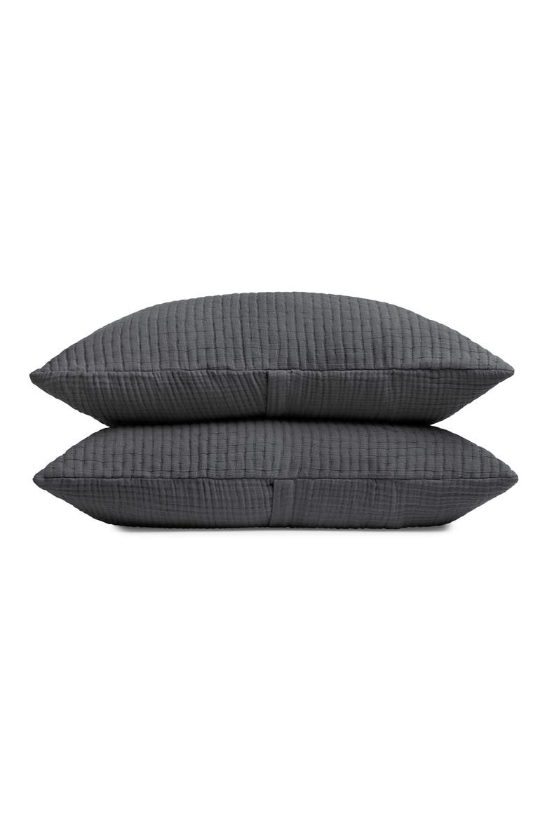 Air Organic Cotton Sham Set (Nordstrom Exclusive), Main, color, PEBBLE