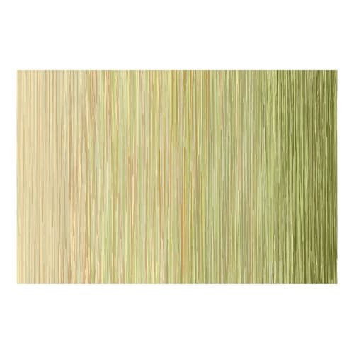 Kaplan Early Learning Company Sense Of Place Nature's Stripes Green Carpet