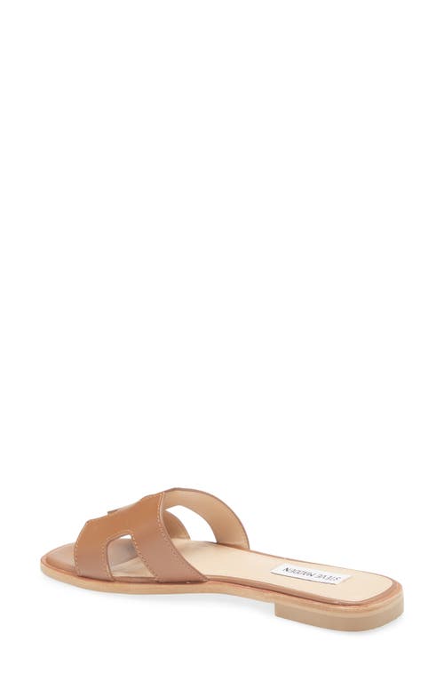 Steve Madden Hadyn Slide Sandal In Brown