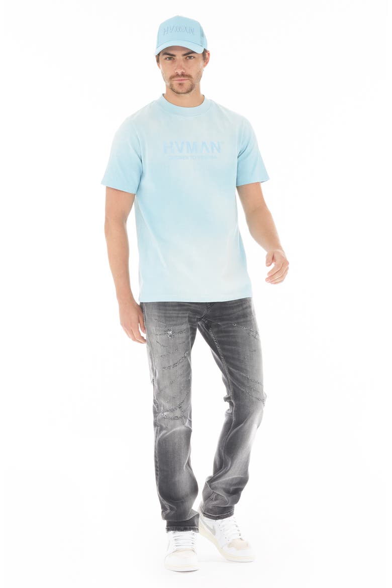 Basic Logo Cotton T-Shirt, Alternate, color, SKY