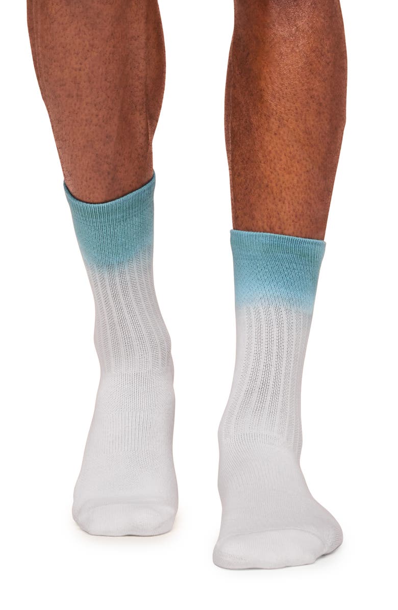On All Day Organic Cotton Crew Socks, Alternate, color, 