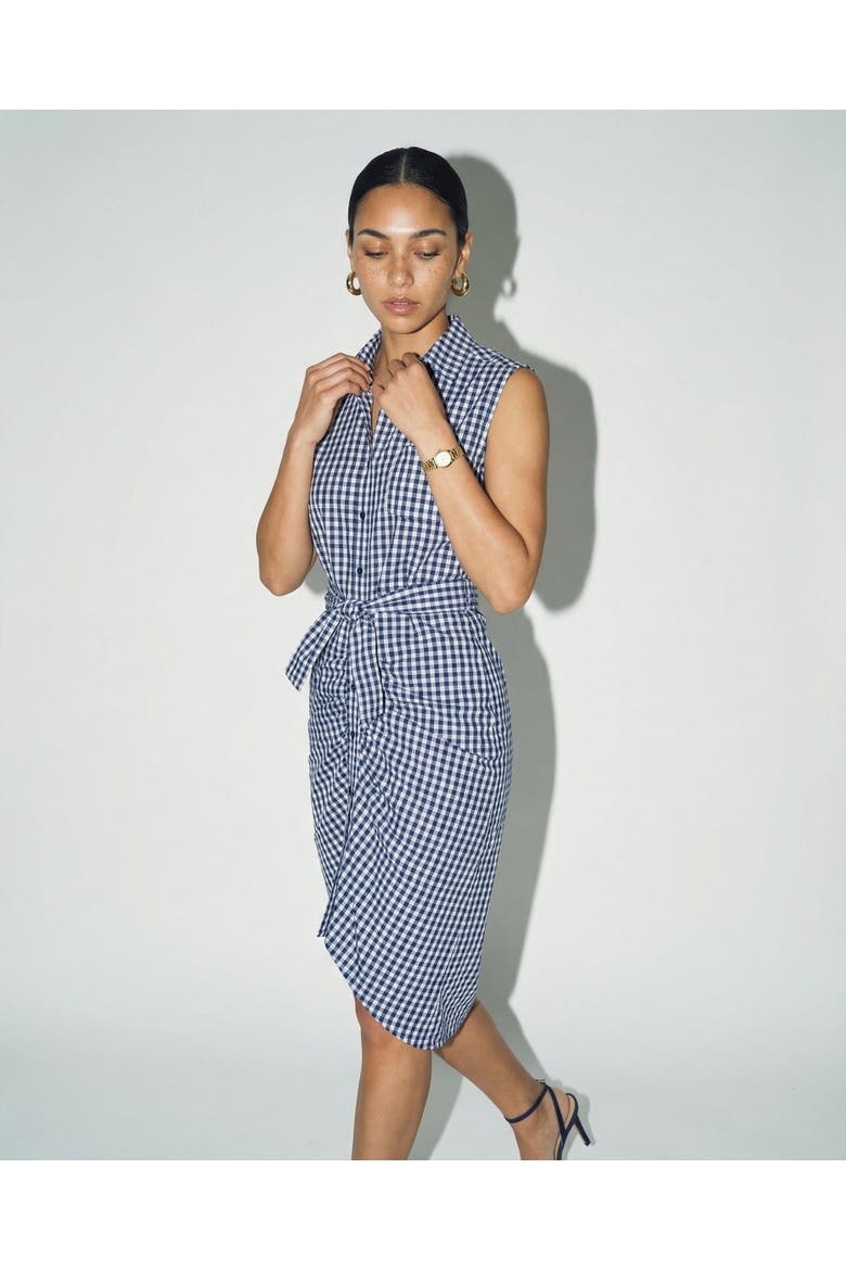 The Sleeveless Wrap Front Dress, Alternate, color, Navy Check