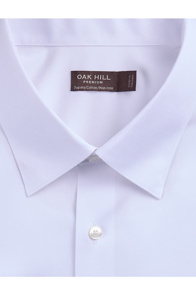 Big & Tall Stretch Pinpoint Dress Shirt, Alternate, color, WHITE