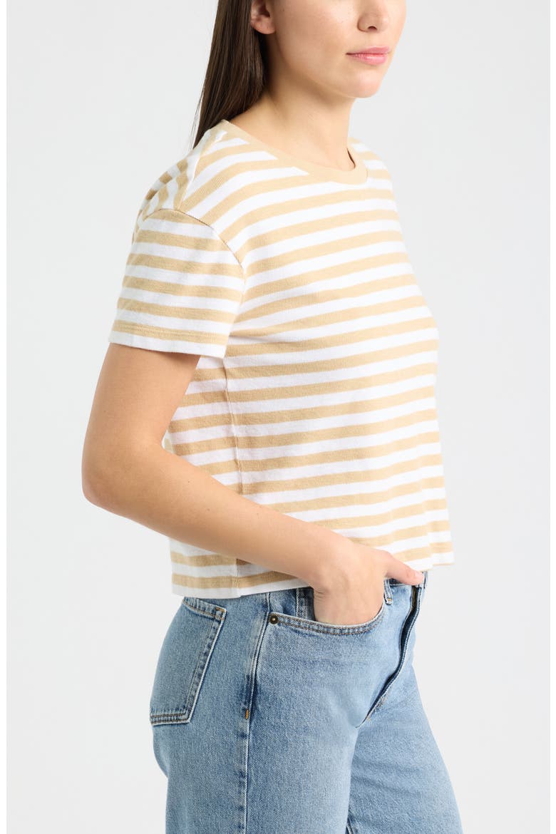 Drop Shoulder Short Sleeve Stripe Cotton Tee, Alternate, color, TAN SHORE- WHITE CHARM STRIPE