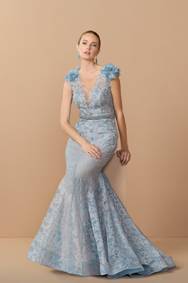 Embroidered Illusion Appliqued Bodice Trumpet Gown, Alternate, color, Powder Blue