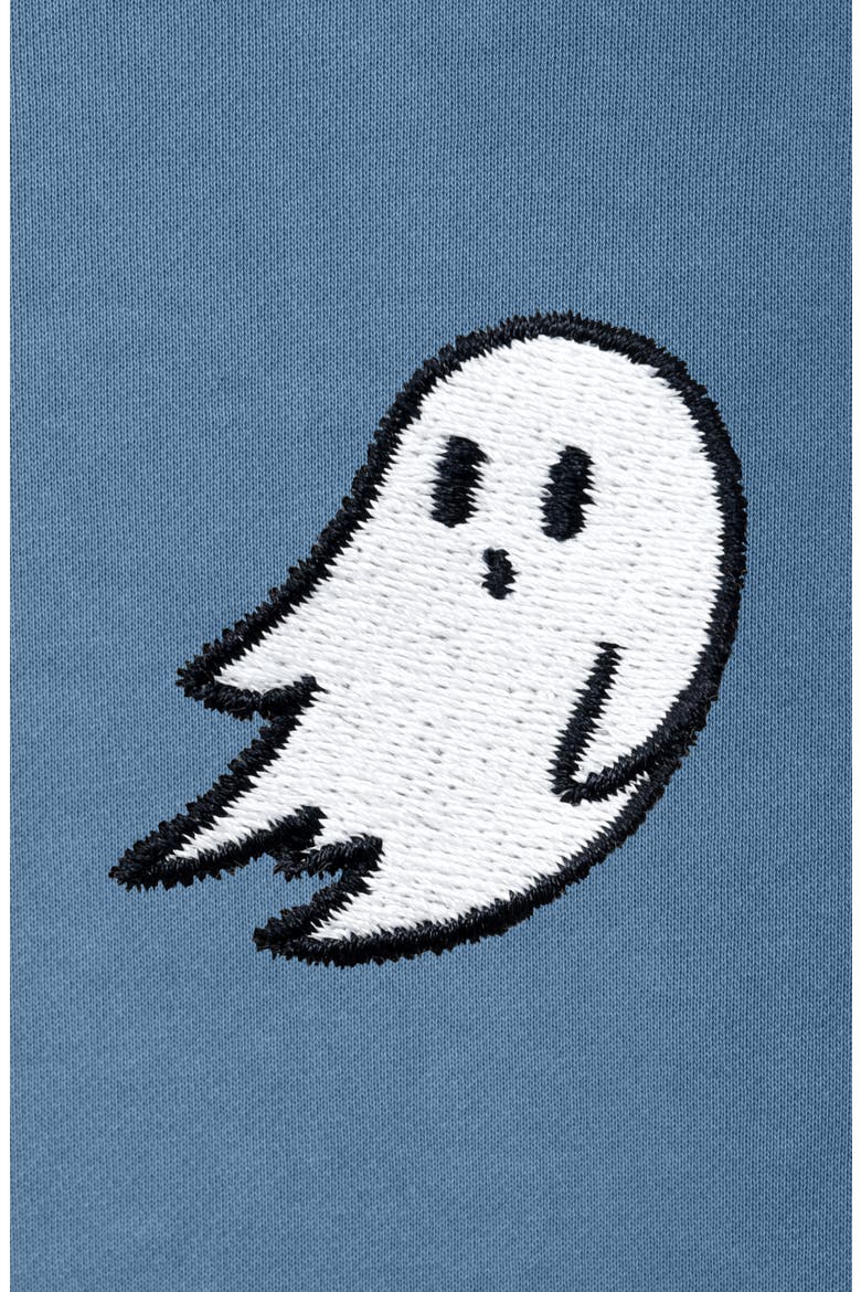Mens Ghost Midweight Fleece Relaxed Hooded Sweatshirt, Alternate, color, Pebble Blue