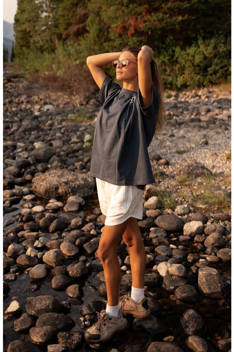 Oversized Tee, Alternate, color, Grand Teton