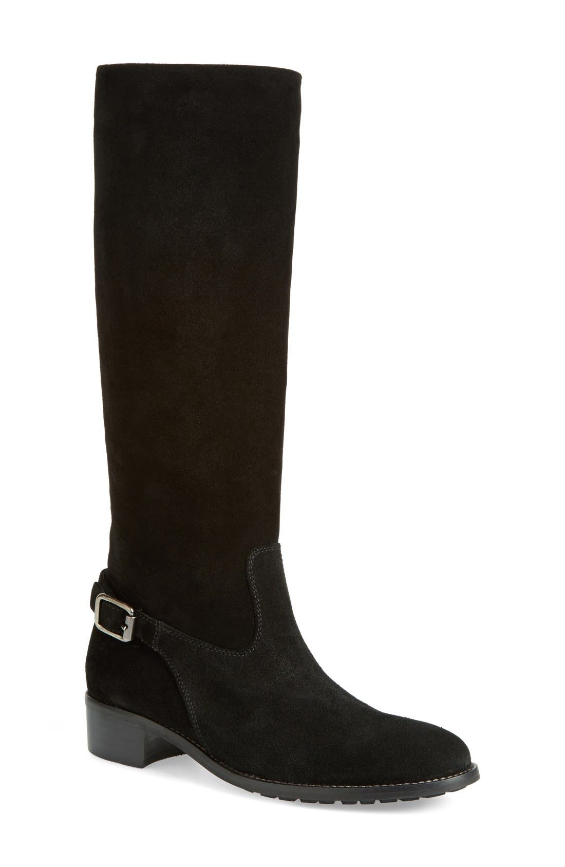 Aquatalia 'Ohanna' Weatherproof Tall Boot, Main, color, 
