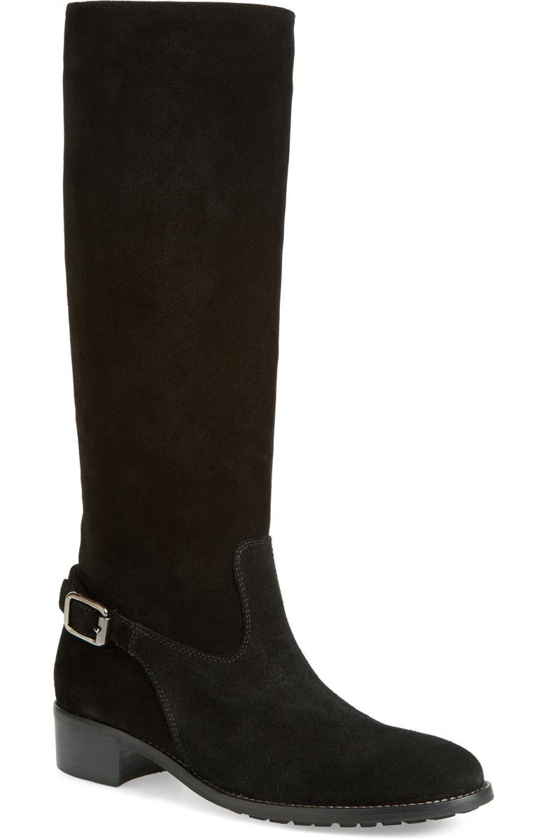 Aquatalia 'Ohanna' Weatherproof Tall Boot, Main, color,