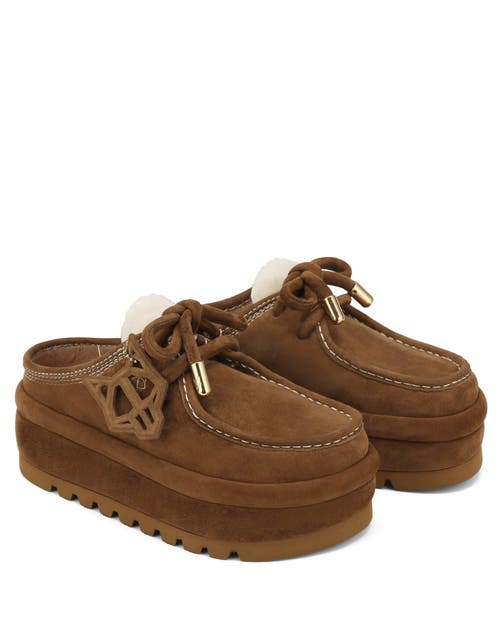 Naked Wolfe Blizzard Suede/shearling Slip-on In Animal Print