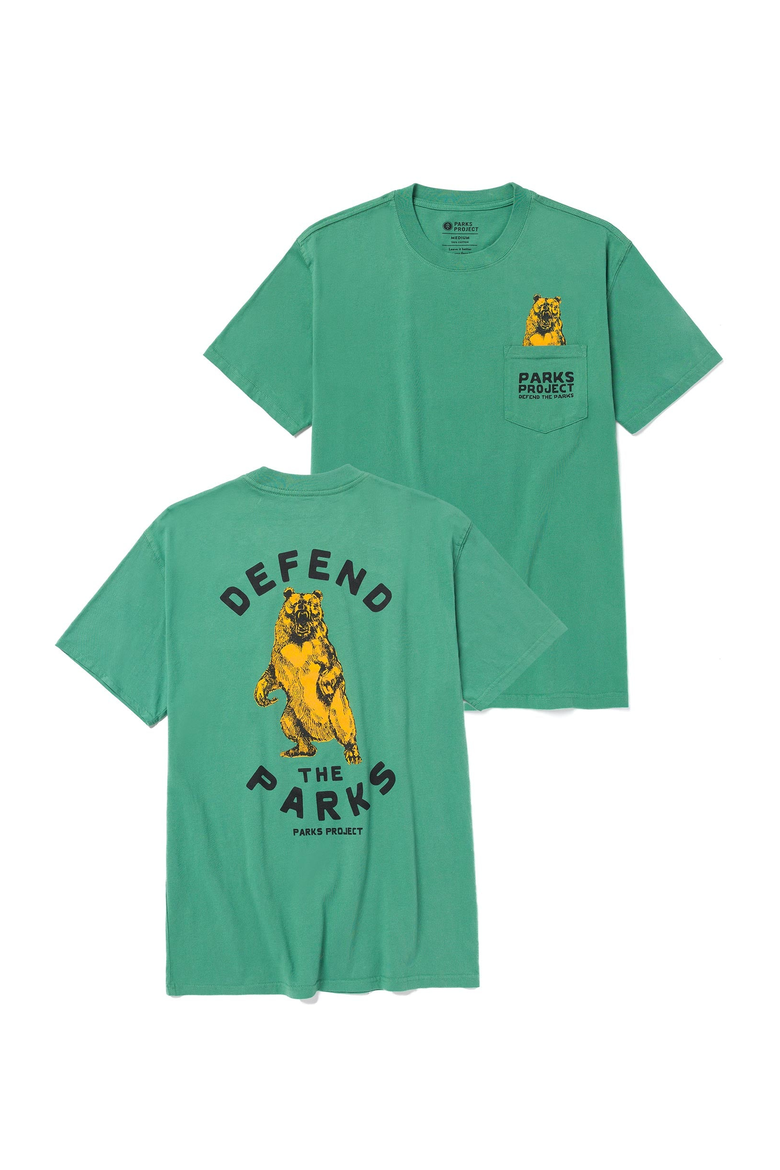 Defend the Parks Bear Pocket Tee, Main, color, Sage