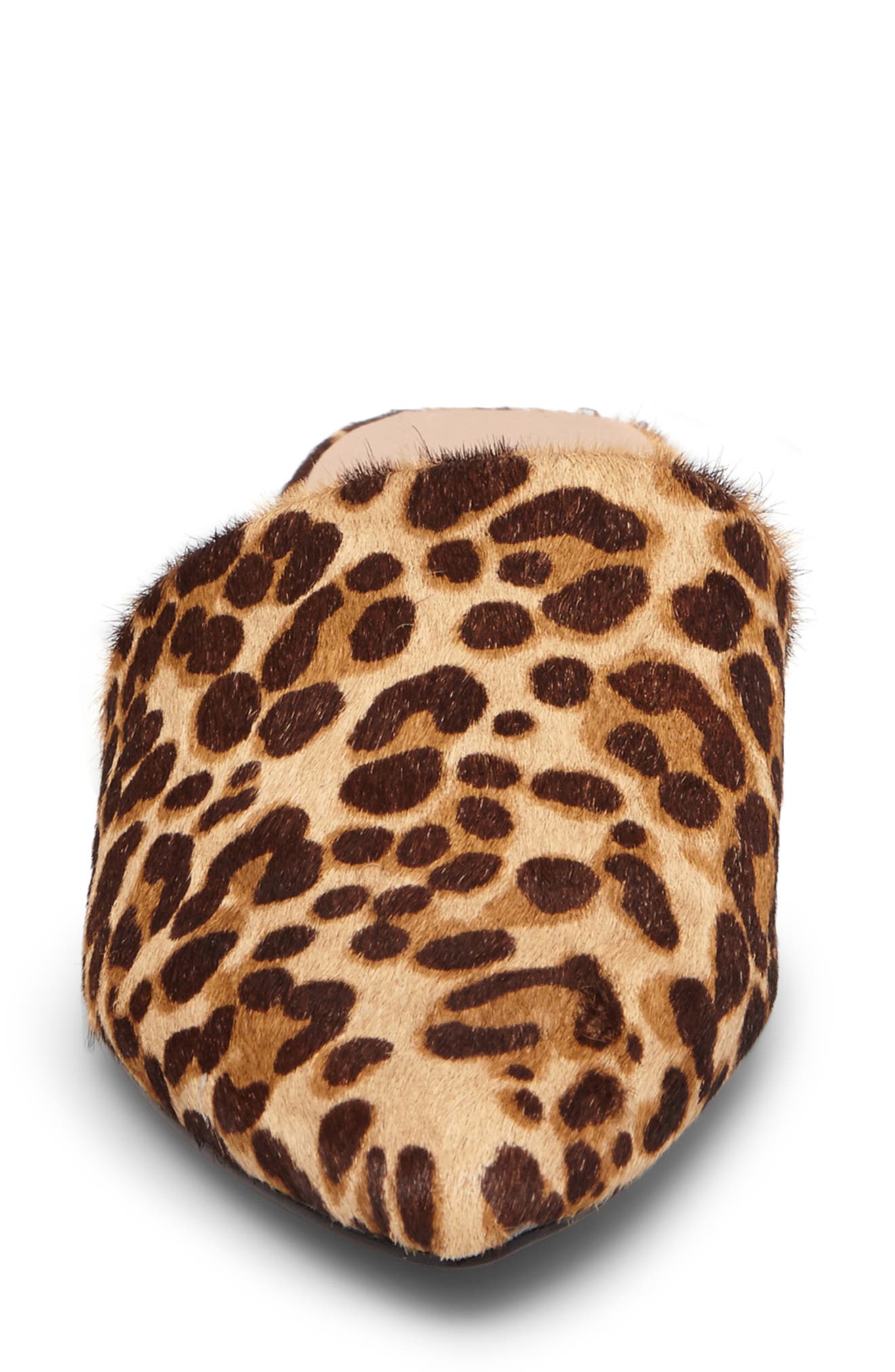Trace Mule, Alternate, color, LEOPARD