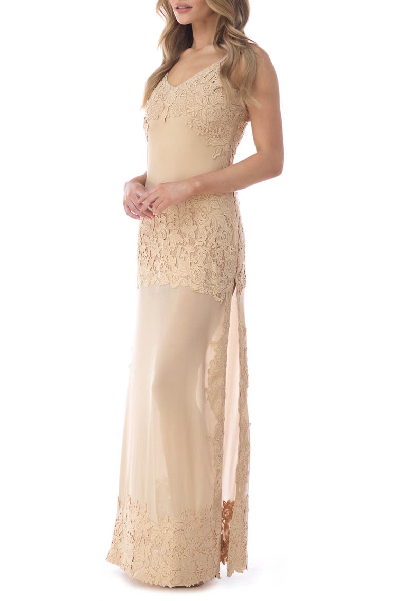 Embroidered Lace Detail Mesh Maxi Dress, Alternate, color, BEIGE