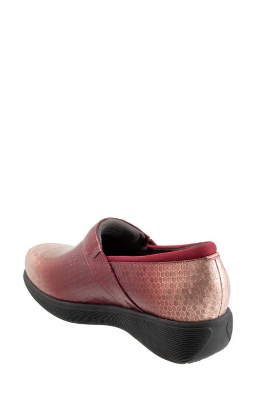 Softwalk ® Meredith Sport Clog In Brown