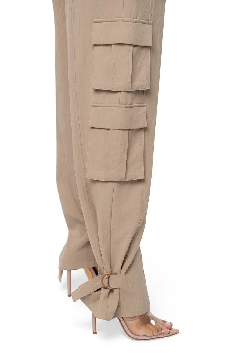 Boundless Cargo Pants, Alternate, color, BEIGE