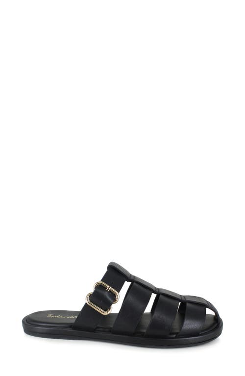 Splendid Fatima Slide Sandal In Black