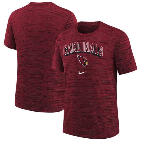 Youth Nike  Cardinal Arizona Cardinals Sideline Velocity Performance T-Shirt