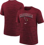 Nike Youth Nike Cardinal Arizona Cardinals Sideline Velocity Performance T-Shirt