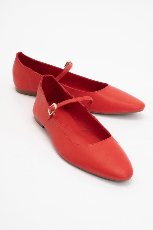 Forever & Always Shoes Lara Leather Mary Jane Flats In Red Leather