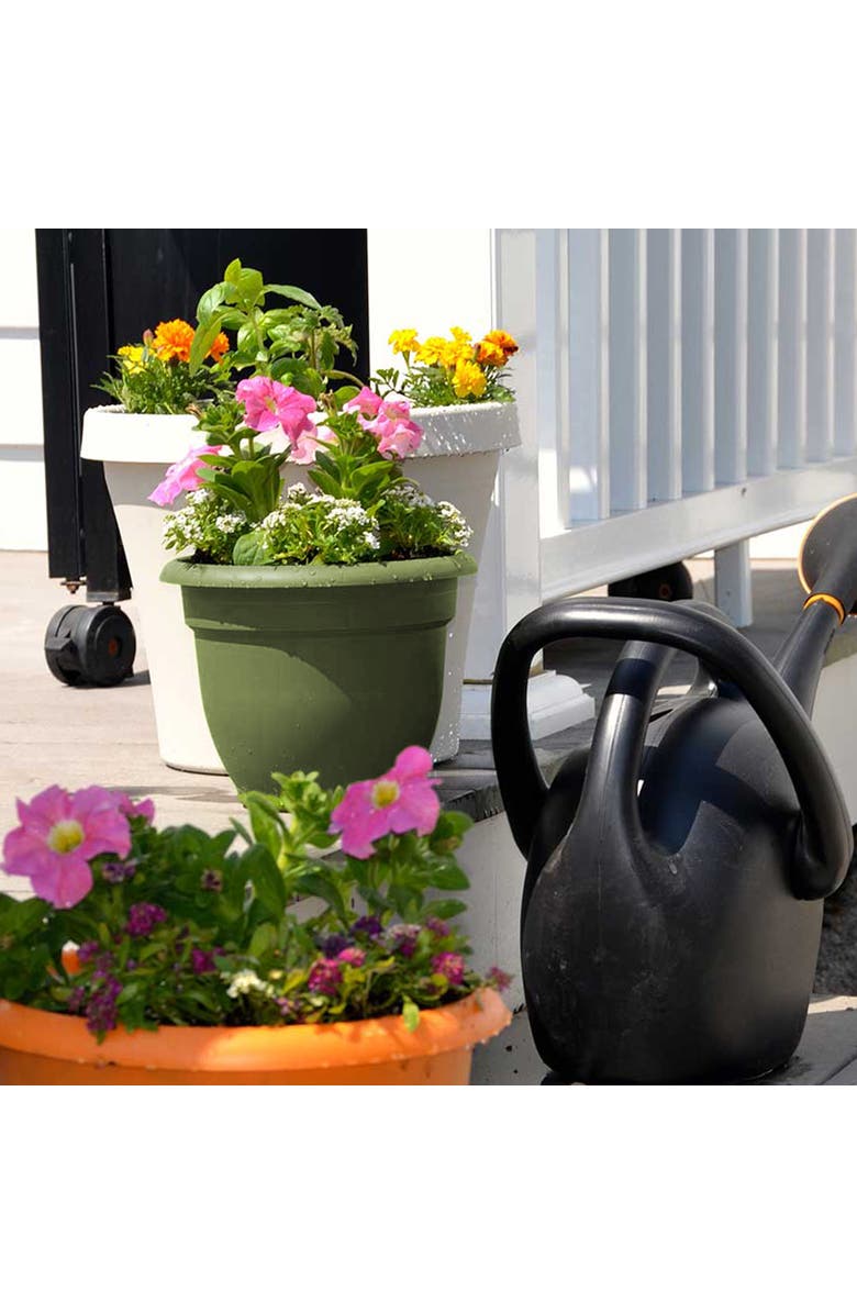 Bloem 16 Inch Ariana Pot Planter, Alternate, color, Green