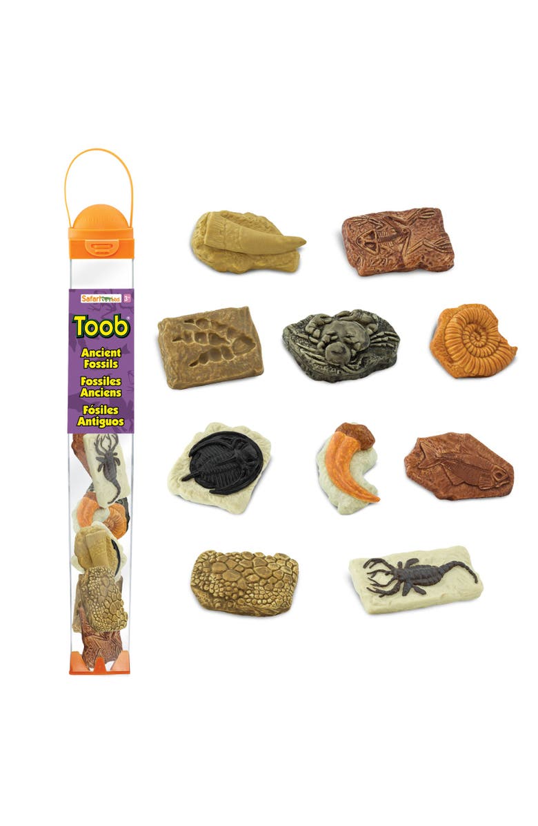 Safari Ltd. Ancient Fossils Toy, Main, color, NO COLOR
